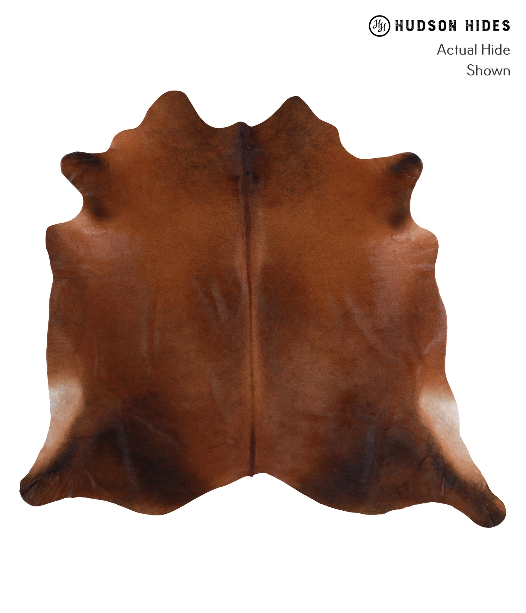 Brown with Red Cowhide Rug #A4760