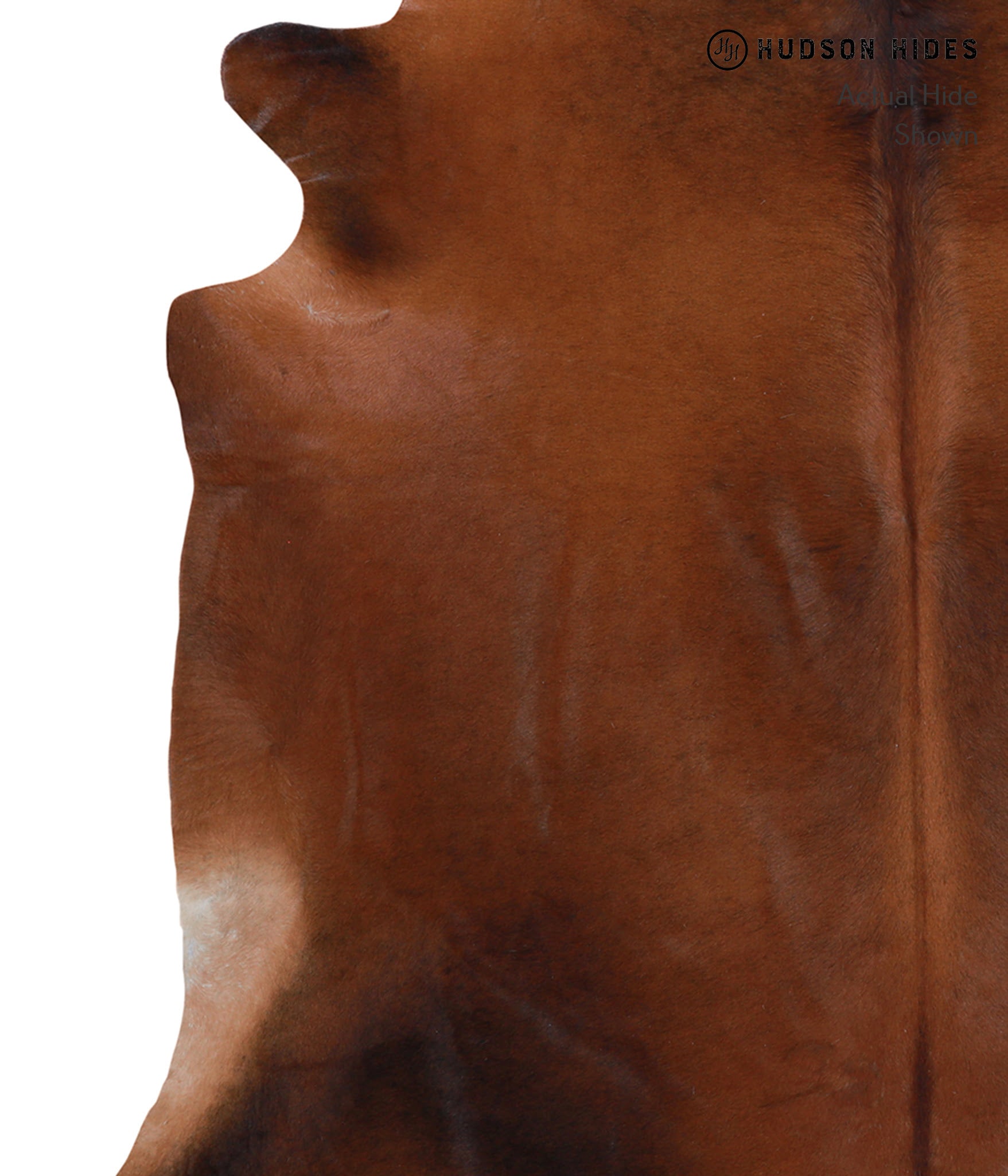 Brown with Red Cowhide Rug #A4760