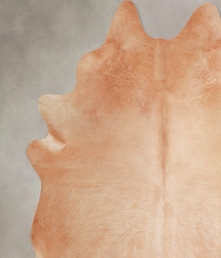 Beige XX-Large Brazilian Cowhide Rug 7'9"H x 7'2"W #A47602 by Hudson Hides