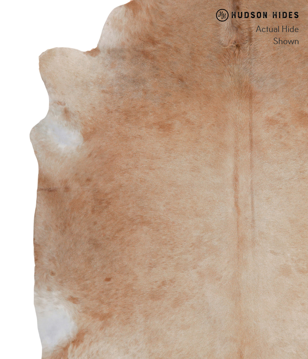 Solid Brown X-Large Brazilian Cowhide Rug 7'0"H x 6'6"W #A4761 by Huds