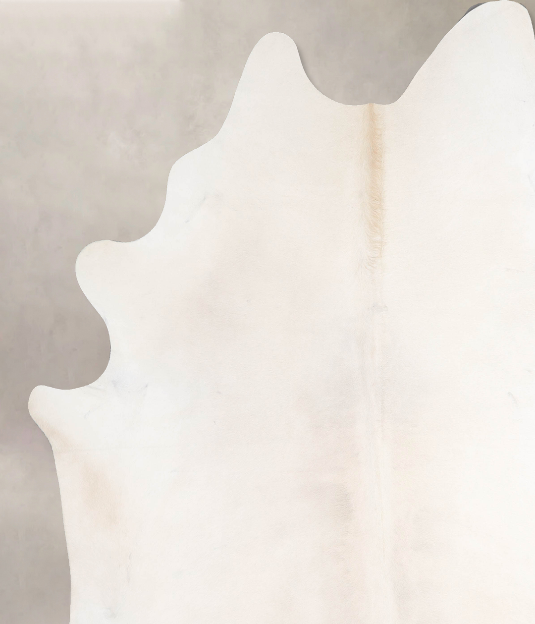 Ivory with Beige XX-Large Brazilian Cowhide Rug 7'9"H x 7'5"W #A47611 