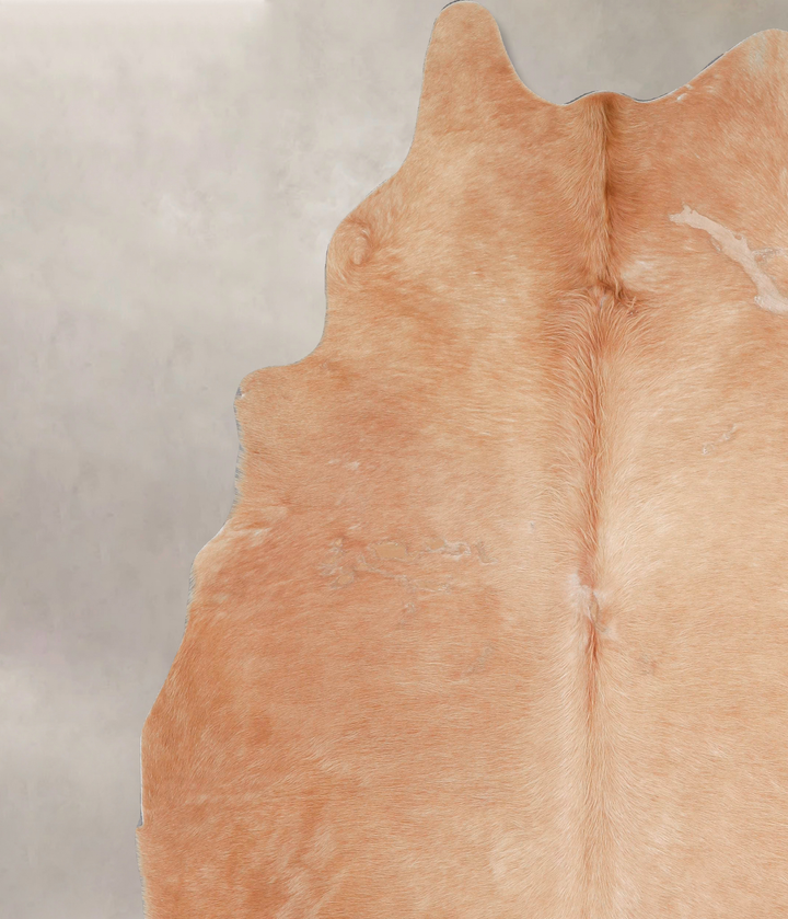 Beige XX-Large Brazilian Cowhide Rug 8'0"H x 6'8"W #A47623 by Hudson Hides