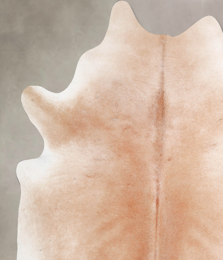 Light Caramel XX-Large Brazilian Cowhide Rug 7'10"H x 6'11"W #A47632 by Hudson Hides