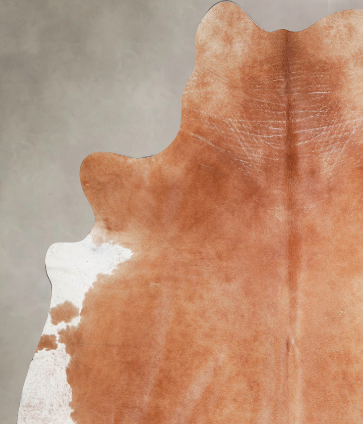 Solid Brown XX-Large Brazilian Cowhide Rug 7'7"H x 6'11"W #A47647 by Hudson Hides