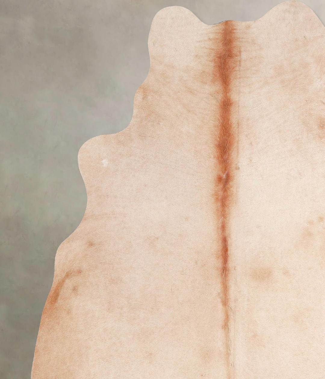 Beige Large Brazilian Cowhide Rug 6'3"H x 5'5"W #A47666 by Hudson Hide