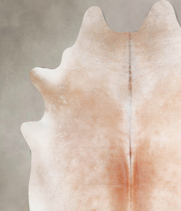 Light Caramel XX-Large Brazilian Cowhide Rug 8'0"H x 7'5"W #A47717 by Hudson Hides