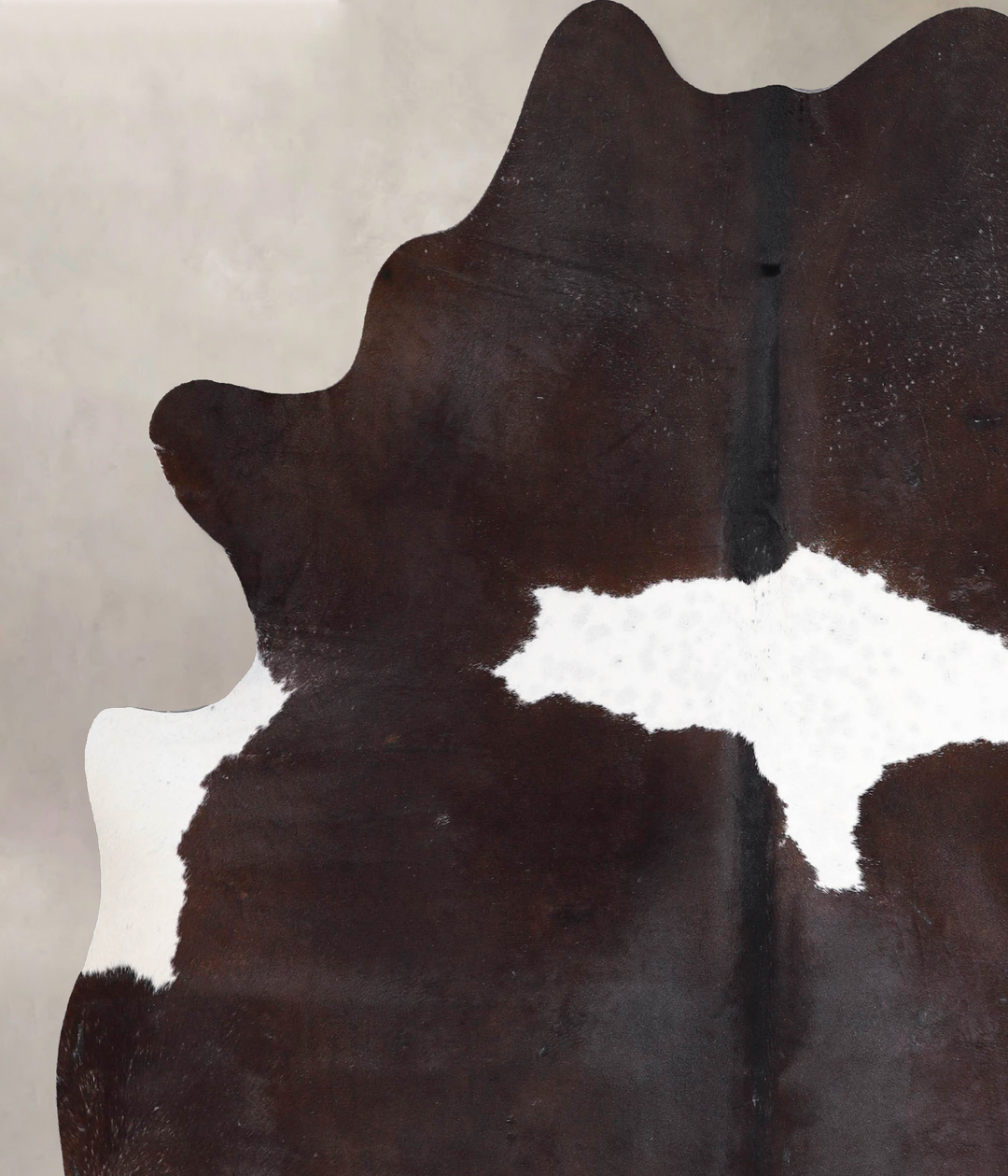 Chocolate and White X-Large Brazilian Cowhide Rug 7'1"H x 6'1"W #A4776