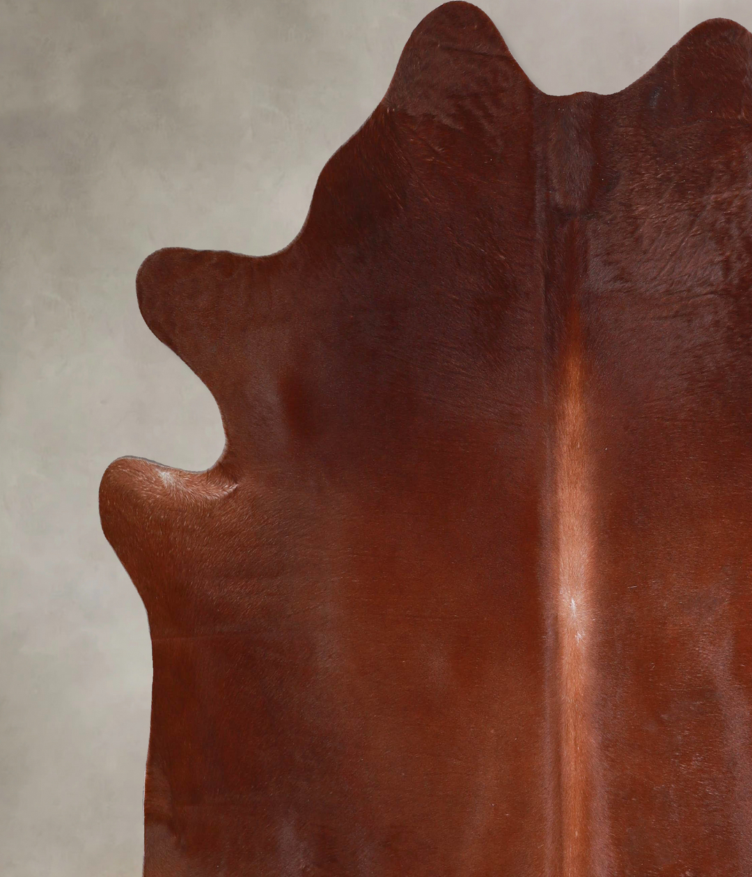 Solid Brown X-Large Brazilian Cowhide Rug 6'9"H x 6'11"W #A47803 by Hu