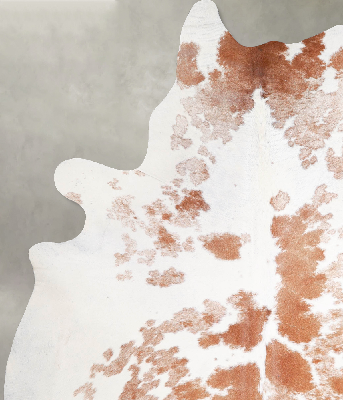 Brown and White XX-Large Brazilian Cowhide Rug 7'10"H x 6'5"W #A47815 by Hudson Hides