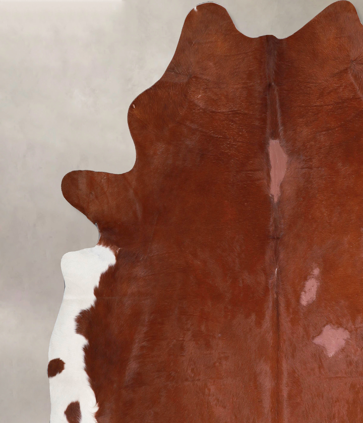 Brown and White Regular XX-Large Brazilian Cowhide Rug 7'5"H x 7'6"W #A47822 by Hudson Hides