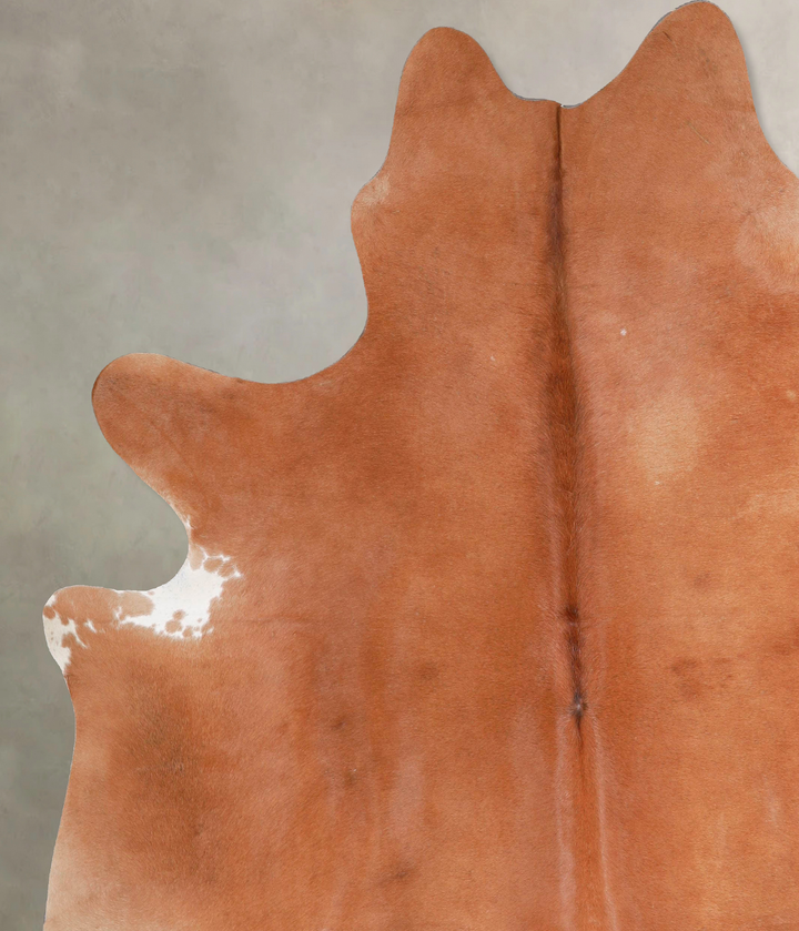 Solid Brown XX-Large Brazilian Cowhide Rug 7'11"H x 6'7"W #A47828 by Hudson Hides