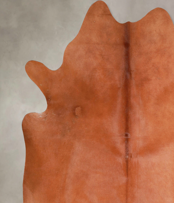 Solid Brown XX-Large Brazilian Cowhide Rug 8'1"H x 7'5"W #A47841 by Hudson Hides