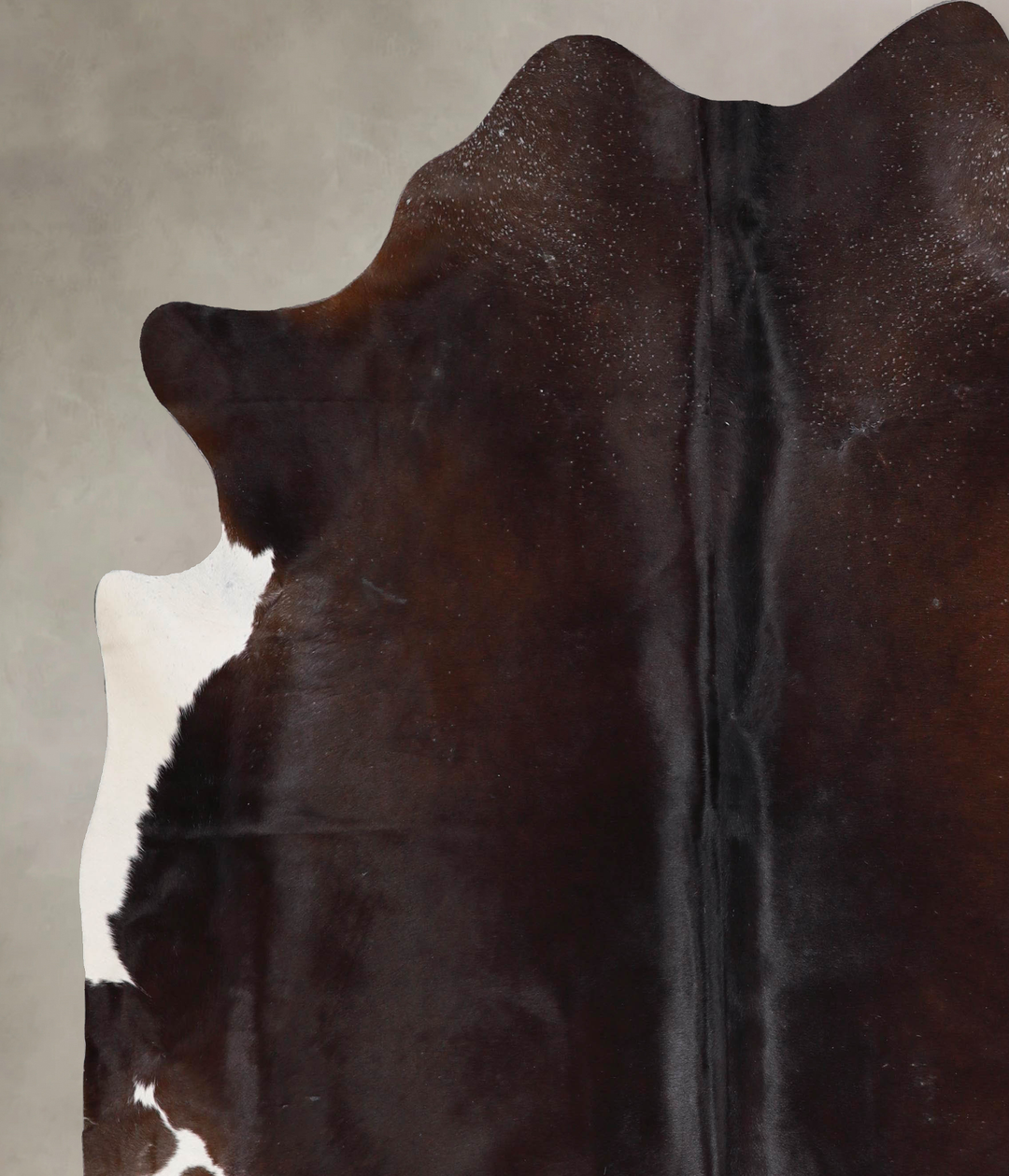 Chocolate and White XX-Large Brazilian Cowhide Rug 7'8"H x 7'0"W #A478