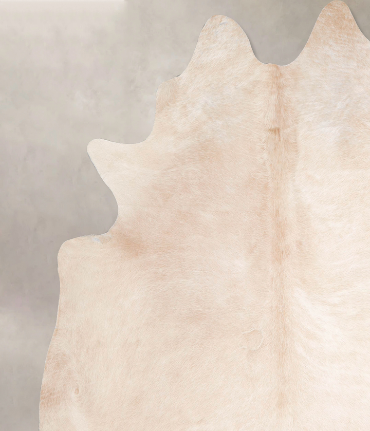 Palomino XX-Large Brazilian Cowhide Rug 7'8"H x 6'8"W #A47906 by Hudson Hides