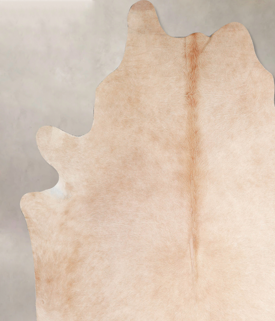 Palomino XX-Large Brazilian Cowhide Rug 8'9"H x 7'5"W #A47932 by Hudso