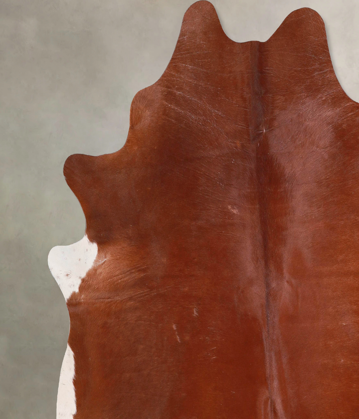 Solid Brown X-Large Brazilian Cowhide Rug 6'11"H x 6'10"W #A47967 by Hudson Hides