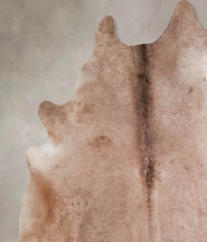 Taupe XX-Large Brazilian Cowhide Rug 7'11"H x 7'3"W #A47983 by Hudson Hides