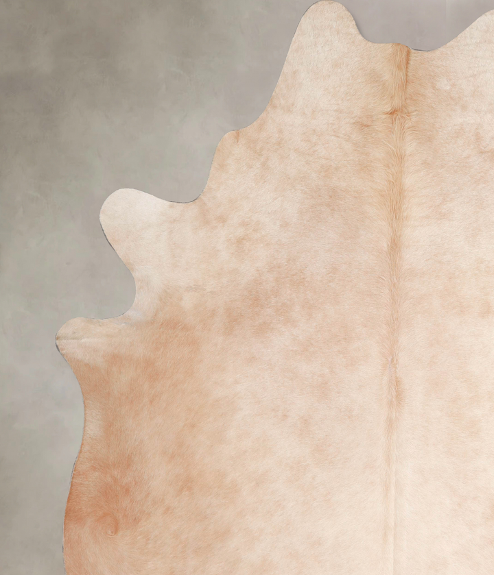 Palomino XX-Large Brazilian Cowhide Rug 7'7"H x 6'7"W #A48000 by Hudson Hides