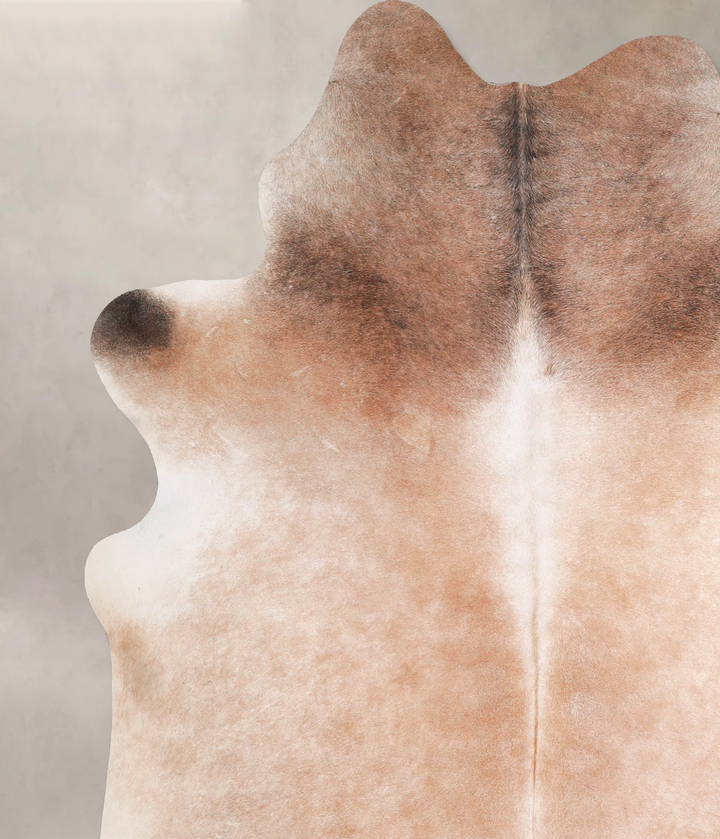 Light Caramel X-Large Brazilian Cowhide Rug 7'3"H x 6'6"W #A48007 by Hudson Hides