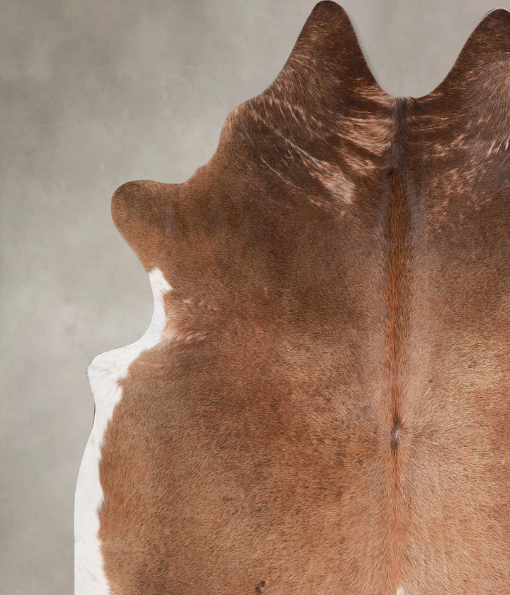 Warm Caramel XX-Large Brazilian Cowhide Rug 7'6"H x 7'7"W #A48027 by Hudson Hides