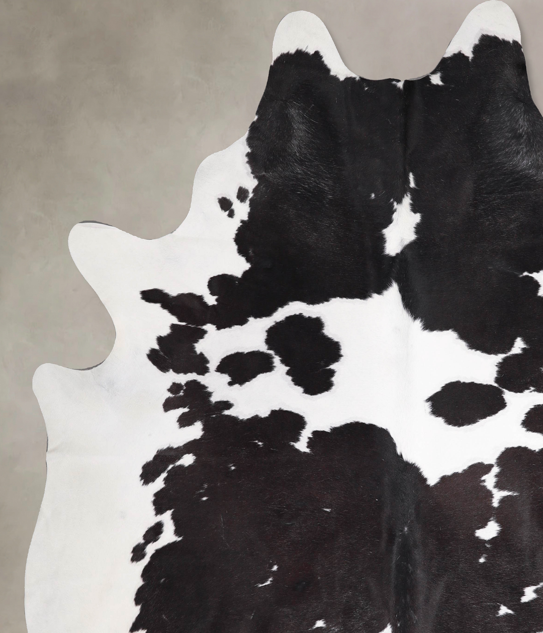 Black and White XX-Large Brazilian Cowhide Rug 8'4"H x 7'3"W #A48040 b