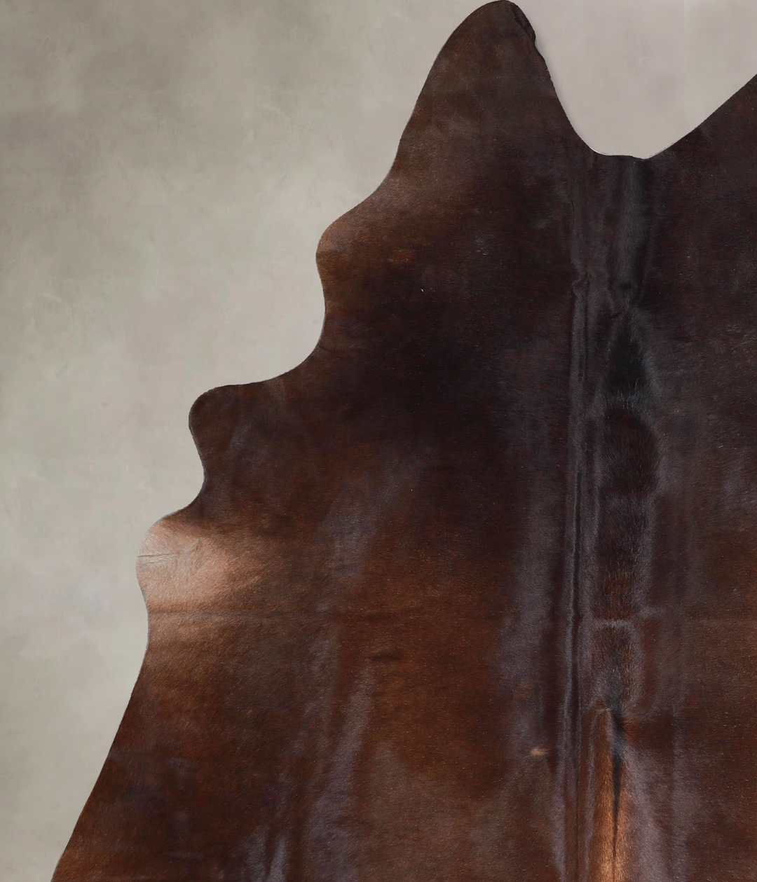 Chocolate Large Brazilian Cowhide Rug 7'0"H x 5'6"W #A48046 by Hudson 