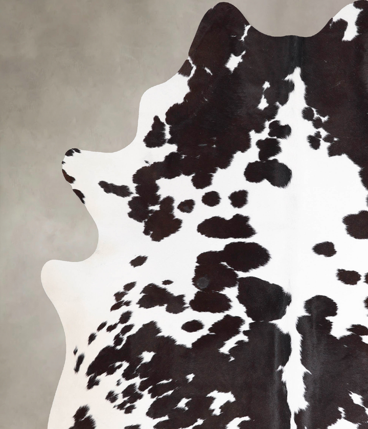 Chocolate and White X-Large Brazilian Cowhide Rug 7'5"H x 6'2"W #A48068 by Hudson Hides