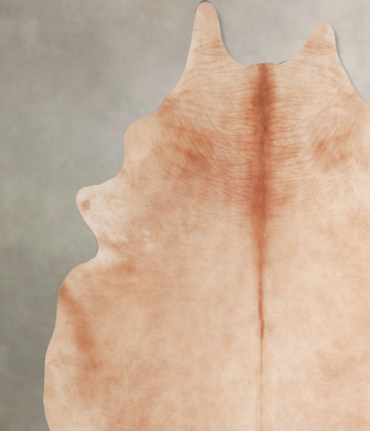 Beige XX-Large Brazilian Cowhide Rug 7'5"H x 7'4"W #A48077 by Hudson Hides