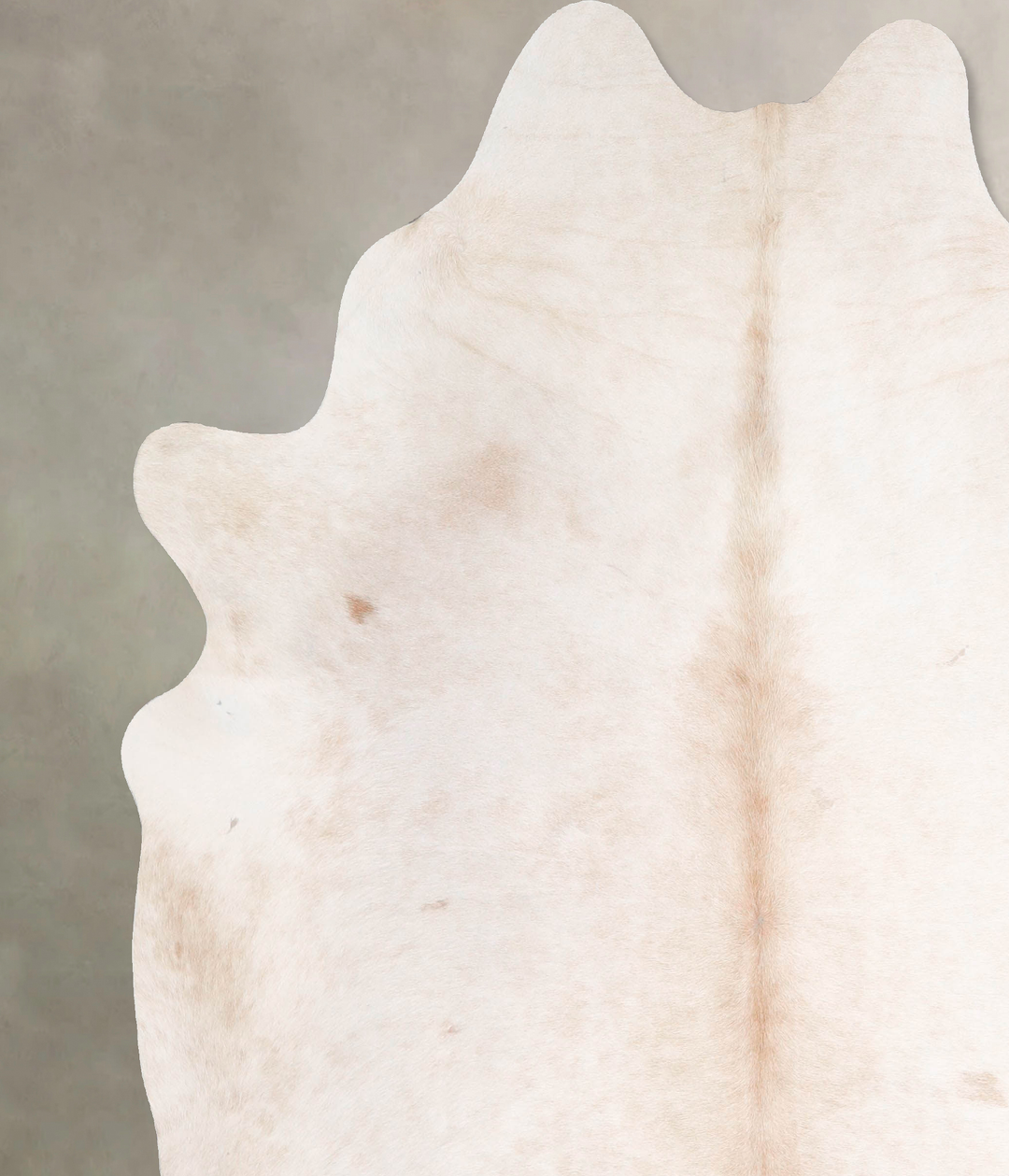 Ivory with Beige X-Large Brazilian Cowhide Rug 7'1"H x 6'5"W #A48091 b