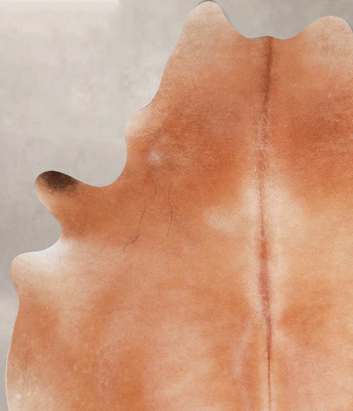 Solid Brown X-Large Brazilian Cowhide Rug 7'6"H x 5'9"W #A48093 by Hudson Hides