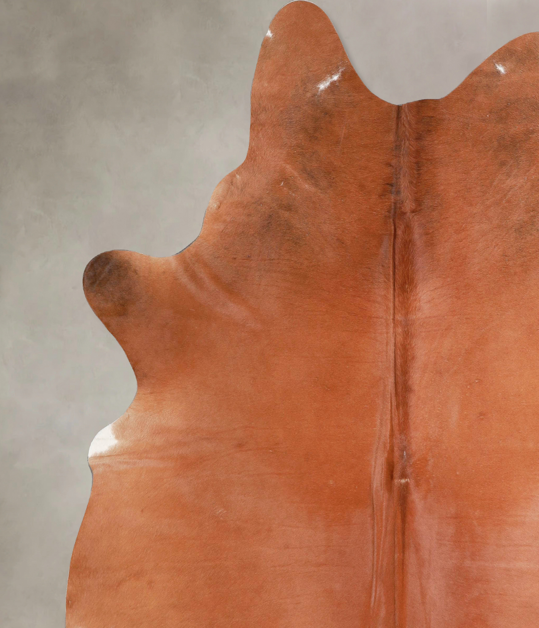 Solid Brown X-Large Brazilian Cowhide Rug 7'7"H x 6'4"W #A48119 by Hud