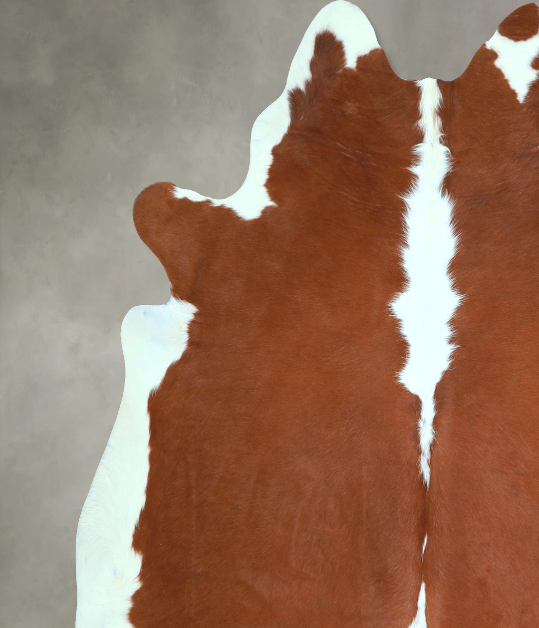 Hereford X-Large Brazilian Cowhide Rug 6'10"H x 6'7"W #A48134 by Hudso
