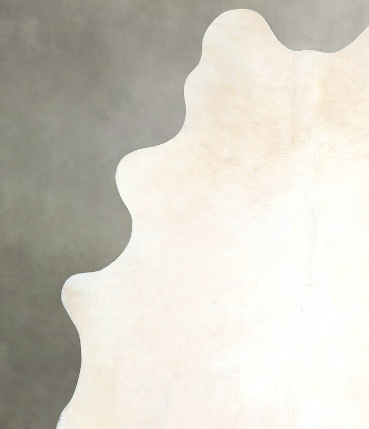 Ivory with Beige X-Large Brazilian Cowhide Rug 6'10"H x 6'2"W #A48172 by Hudson Hides