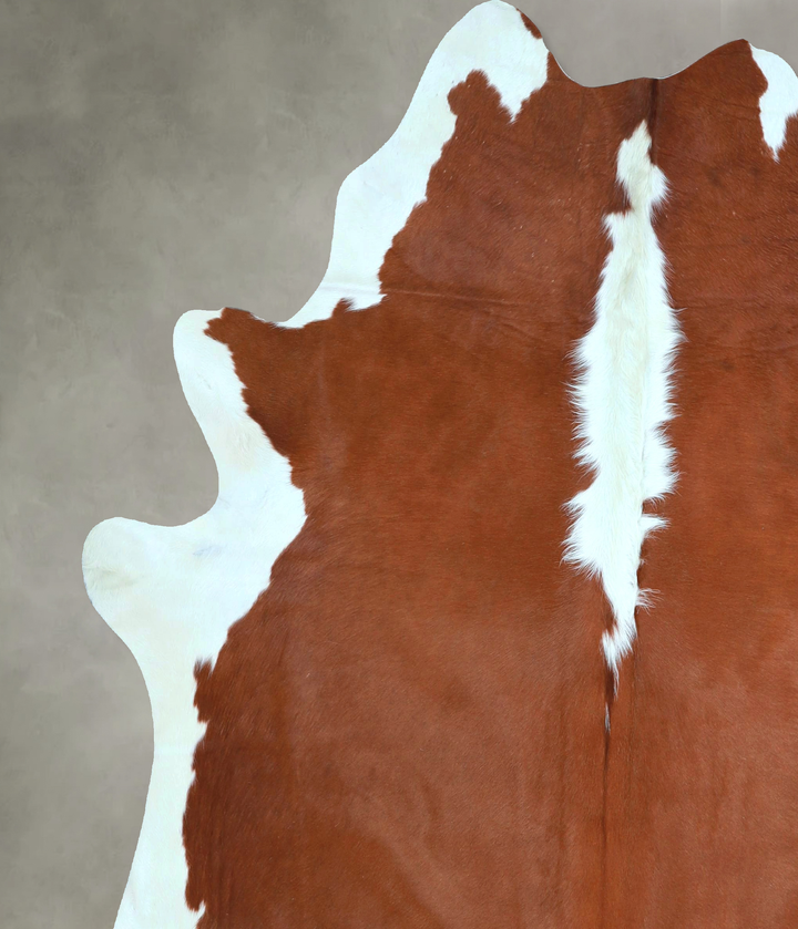 Hereford X-Large Brazilian Cowhide Rug 6'10"H x 6'4"W #A48188 by Hudson Hides