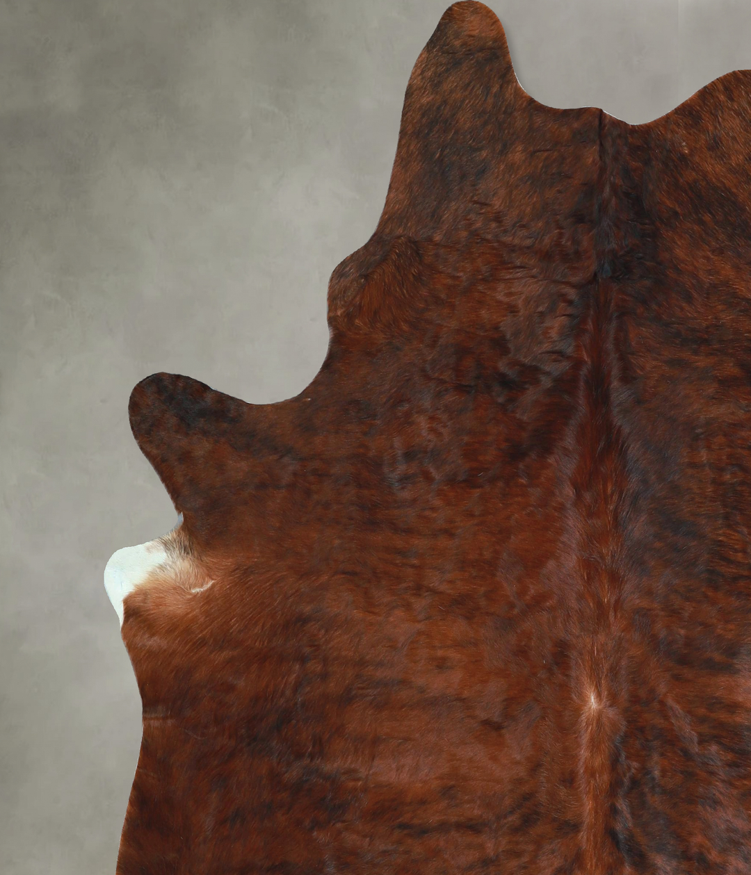 Dark Brindle X-Large Brazilian Cowhide Rug 7'0"H x 6'4"W #A48222 by Hu