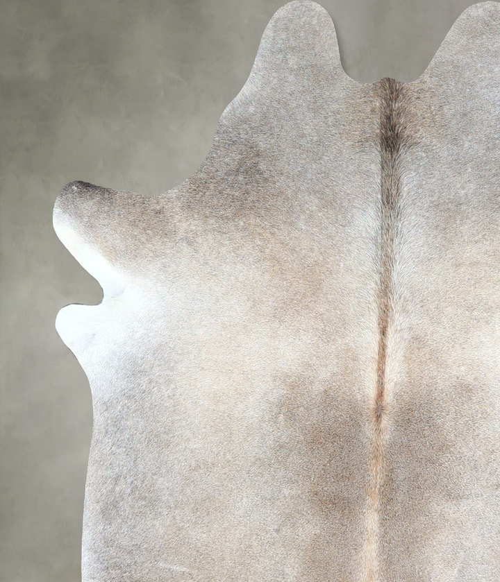 Grey with Beige Large Brazilian Cowhide Rug 6'4"H x 5'8"W #A48234 by Hudson Hides