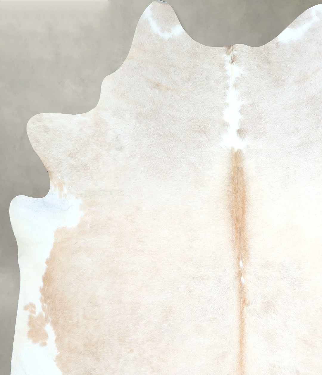 Ivory with Beige XX-Large Brazilian Cowhide Rug 7'10"H x 6'11"W #A4825