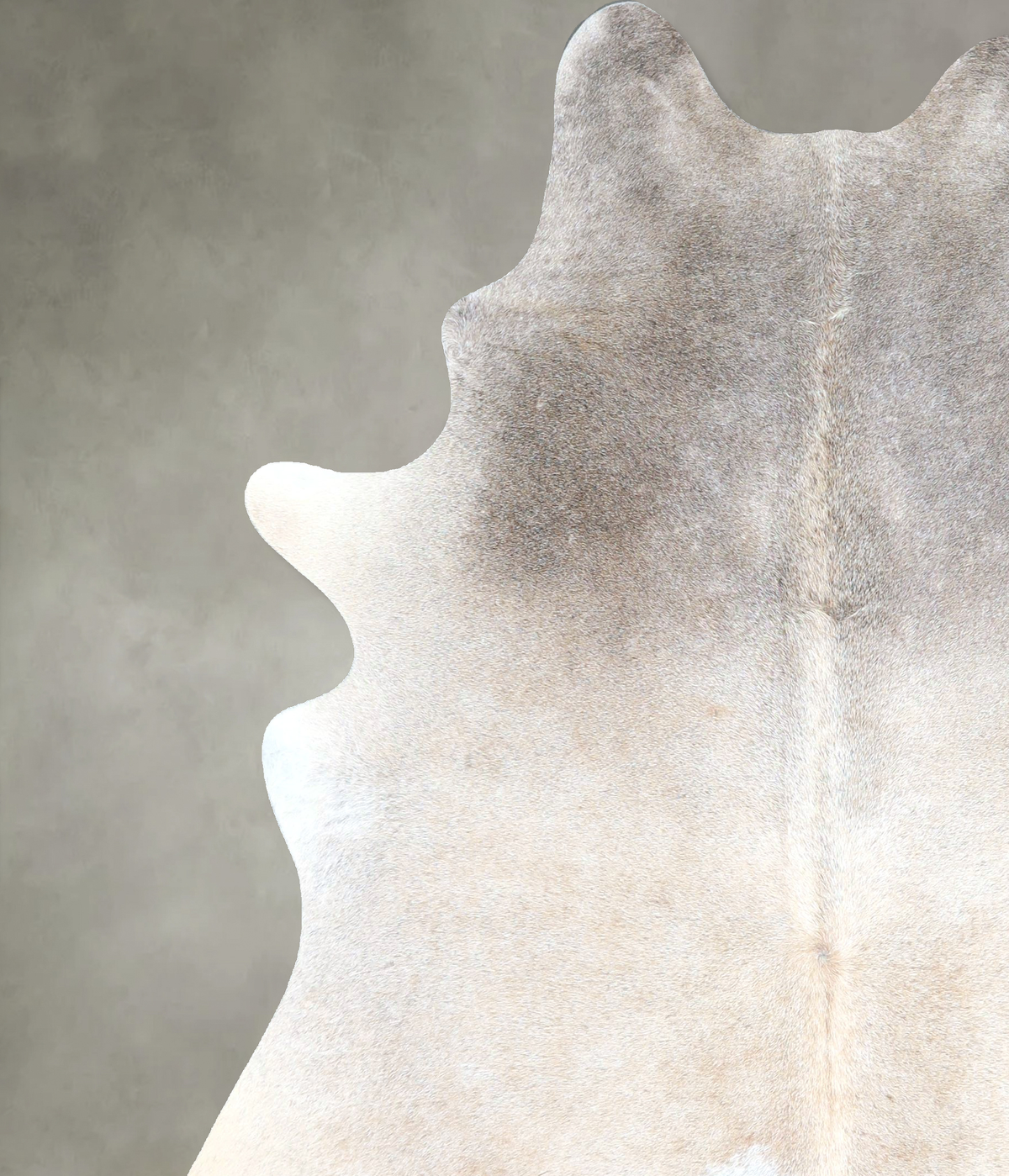 Grey with Beige Cowhide Rug #A48265