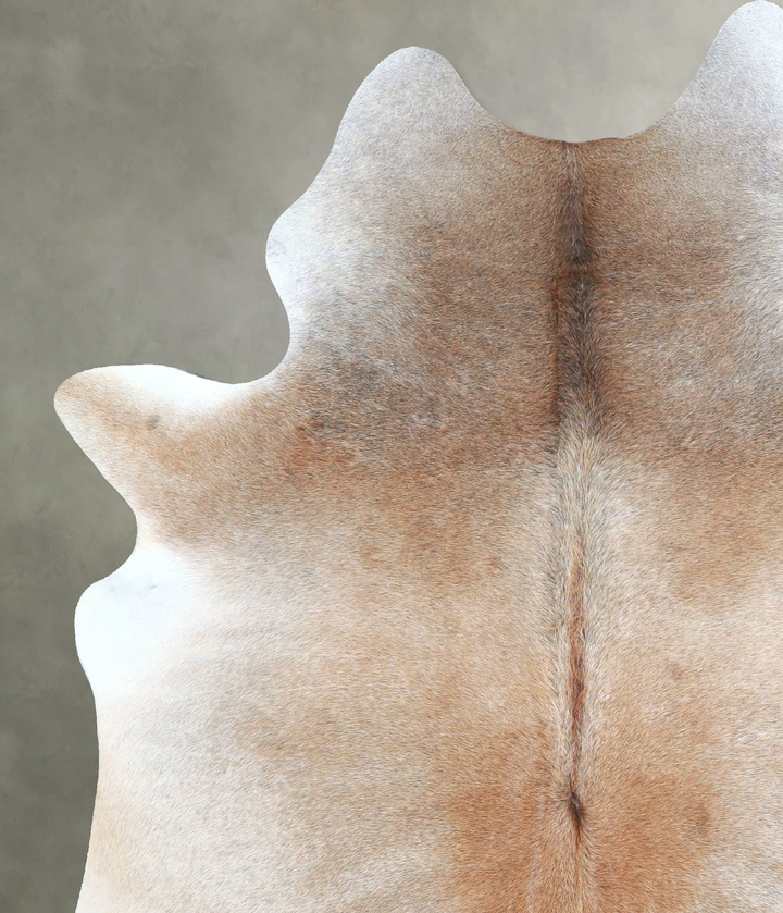 Grey with Beige Large Brazilian Cowhide Rug 7'3"H x 5'5"W #A48273 by Hudson Hides