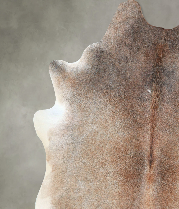 Grey with Beige X-Large Brazilian Cowhide Rug 6'8"H x 6'1"W #A48275 by Hudson Hides