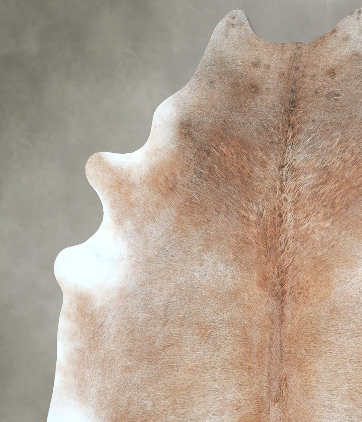 Grey with Beige X-Large Brazilian Cowhide Rug 7'8"H x 6'2"W #A48279 by Hudson Hides