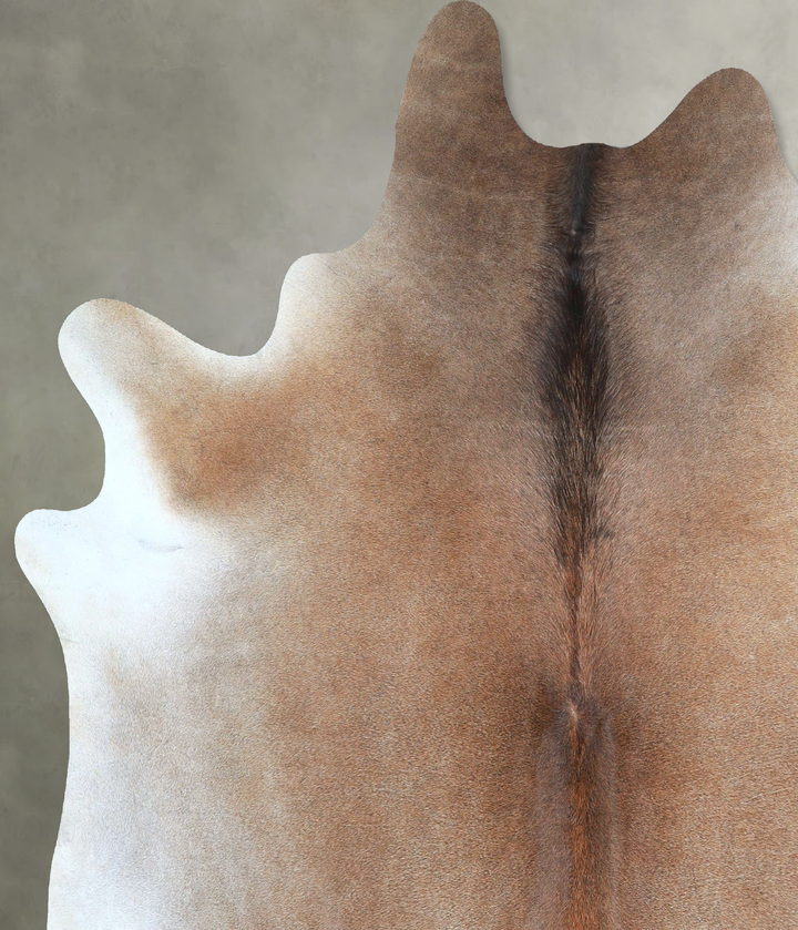 Grey with Beige X-Large Brazilian Cowhide Rug 7'4"H x 6'8"W #A48298 by Hudson Hides