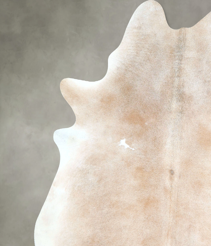 Ivory with Beige XX-Large Brazilian Cowhide Rug 7'8"H x 6'10"W #A48302 by Hudson Hides