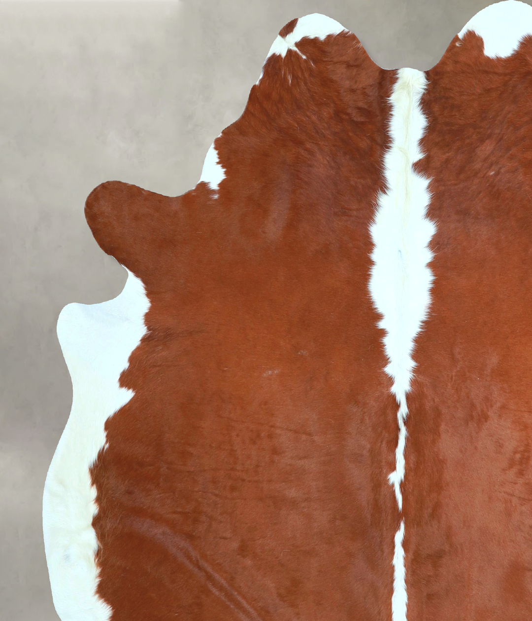 Hereford X-Large Brazilian Cowhide Rug 6'8"H x 6'3"W #A48304 by Hudson