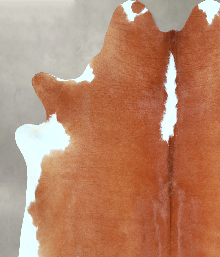 Hereford Large Brazilian Cowhide Rug 6'6"H x 5'5"W #A48306 by Hudson Hides