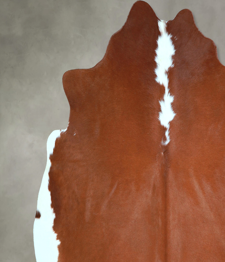 Hereford X-Large Brazilian Cowhide Rug 6'8"H x 7'3"W #A48310 by Hudson Hides