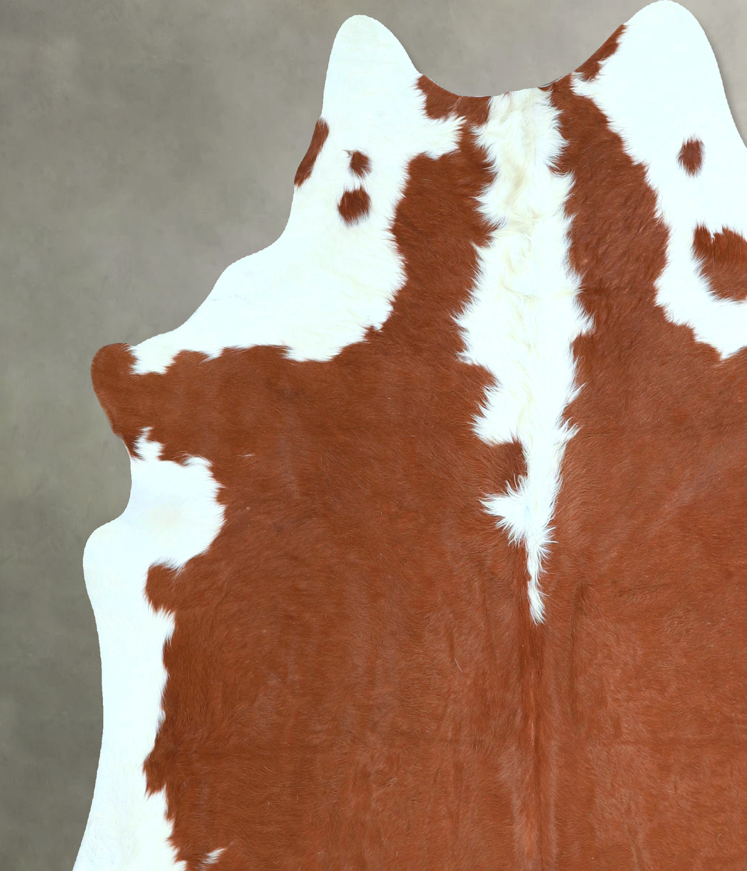 Hereford X-Large Brazilian Cowhide Rug 7'3"H x 6'4"W #A48329 by Hudson