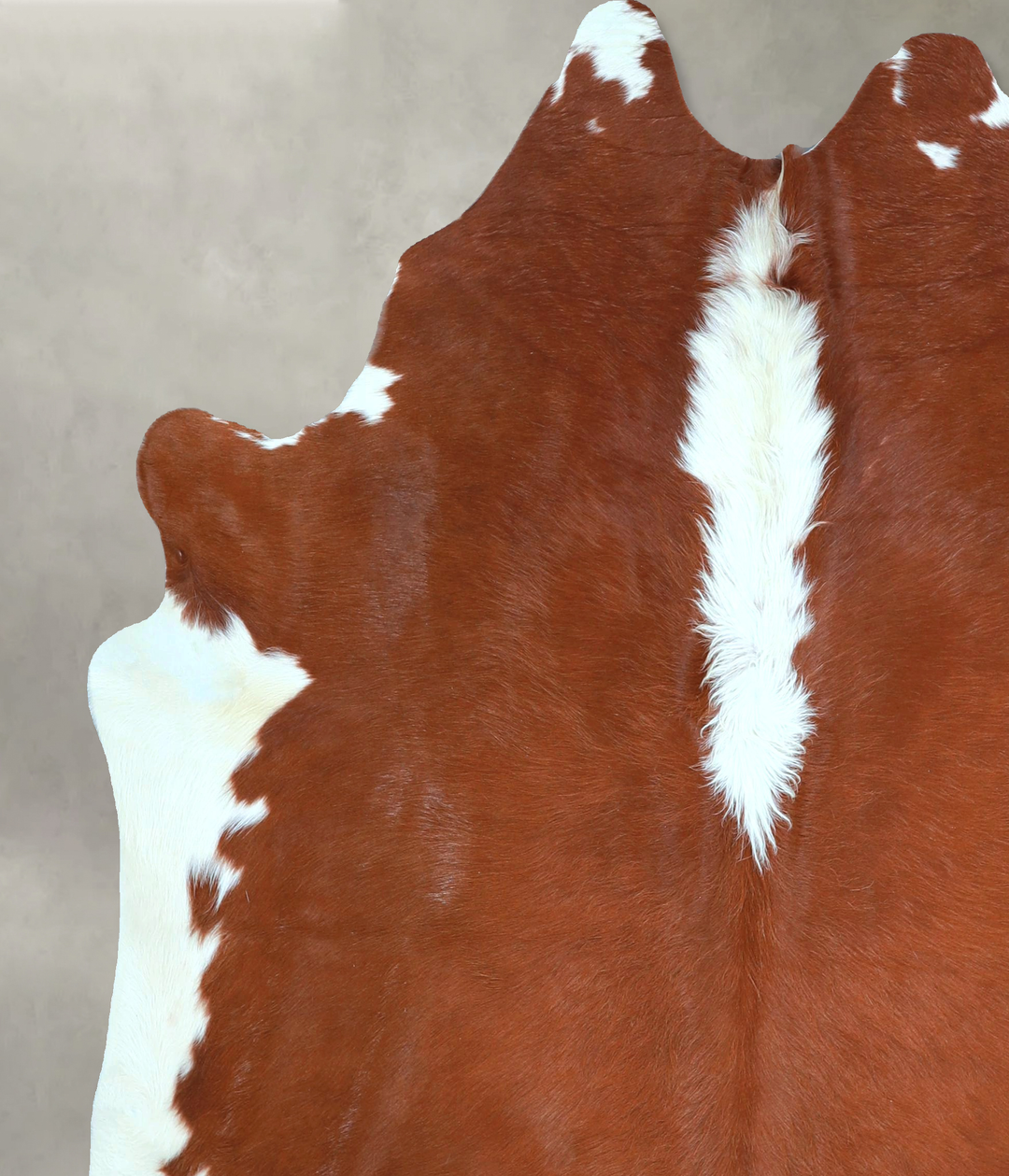 Hereford X-Large Brazilian Cowhide Rug 6'8"H x 6'0"W #A48330 by Hudson