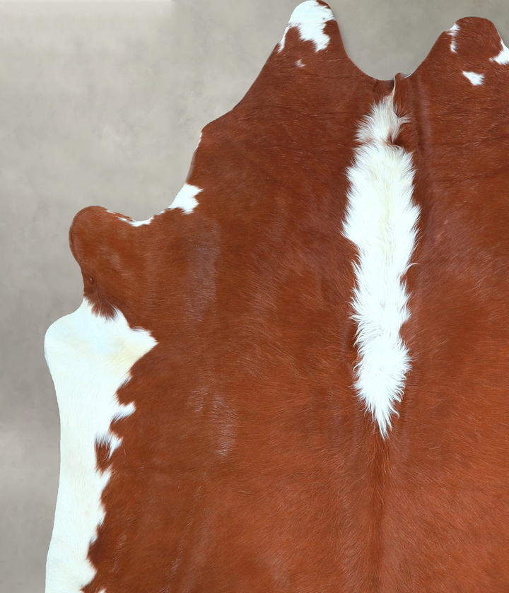 Hereford X-Large Brazilian Cowhide Rug 6'8"H x 6'0"W #A48330 by Hudson Hides