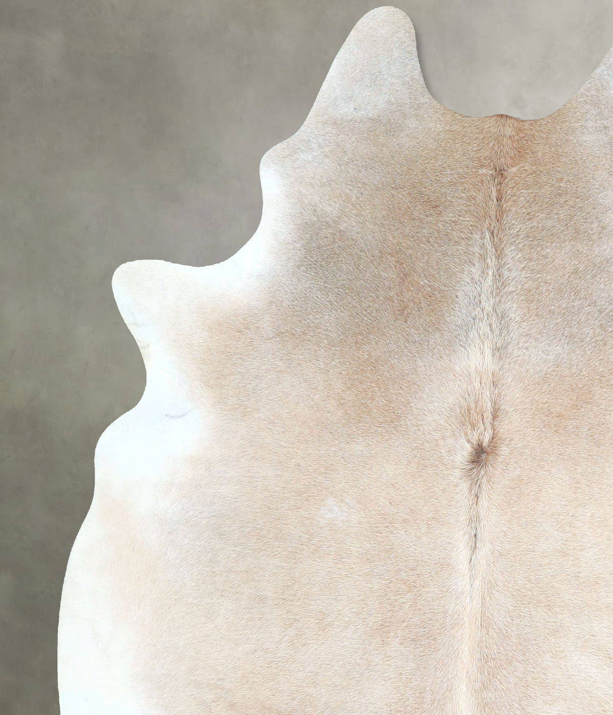 Grey with Beige Cowhide Rug #A48356